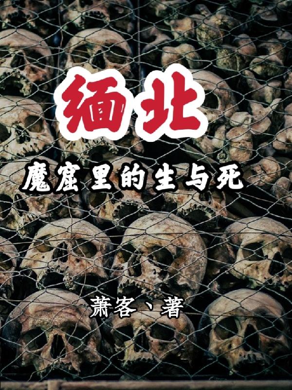 地狱行之缅北