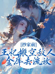 抄家前,王妃搬空敌人金库去流放