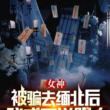 女神被骗去缅北后,我成了送阴人