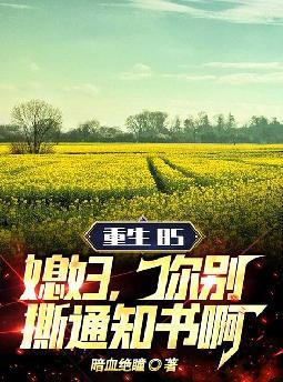 重生85：媳妇,你别撕通知书啊！