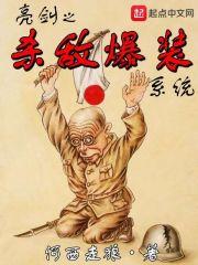 亮剑之杀敌爆装系统
