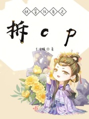 慢穿任务之拆cp