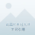 进化,从开局变成骷髅开始